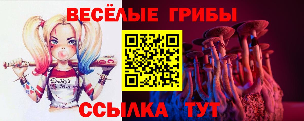 Псилоцибиновые грибы прущие грибы Нальчик